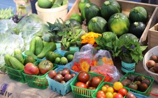 Various vegetables